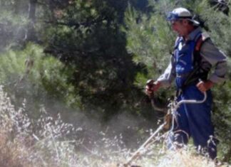 Δήμος Δομοκού: Υποχρεωτικός καθαρισμός ιδιωτικών οικοπέδων και ακάλυπτων χώρων