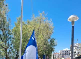 Παντού υπάρχει ένα είδωλο και ο Δήμος Χαλκιδέων έχει το δικό του