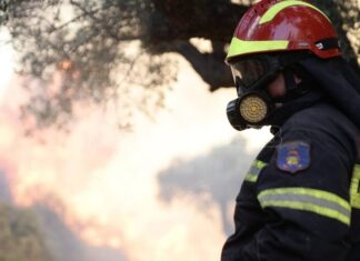 Άδωνις Γεωργιάδης: 534 ευρώ επίδομα για 3 μήνες στους εργαζόμενους σε πυρόπληκτες επιχειρήσεις