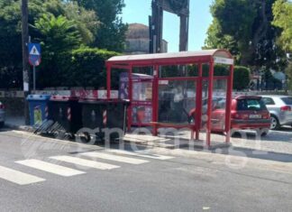 ΧΑΛΚΙΔΑ: Παγκόσμια πρωτοτυπία με στάση λεωφορείου σε διάβαση πεζών και δίπλα σε κάδους απορριμμάτων