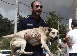Όλη η κτίση στενάζει, πονά, ραγίζει και πεθαίνει.