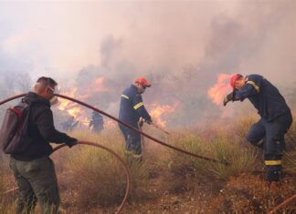 Εύβοια: Τι λέει 20χρονος που ομολόγησε εμπρησμούς – «Έβαζα φωτιά για να βλέπω τα πυροσβεστικά οχήματα»