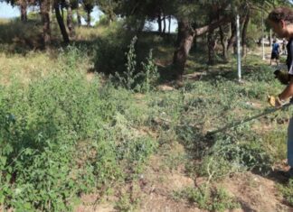 Βαριά “καμπάνα” για όσους δεν καθαρίζουν τα οικόπεδά τους – Πρόστιμα και για απλήρωτους λογαριασμούς ηλεκτρικού