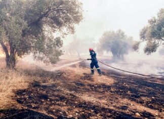 Φωτιά: Άμεση χαρτογράφηση Βοιωτίας και Εύβοιας από Copernicus
