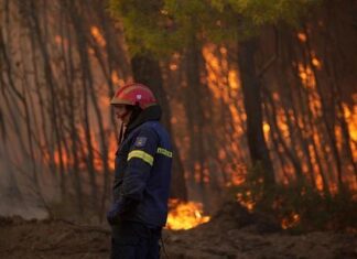 «Μαύρο ρεκόρ» για τις καμένες εκτάσεις στην Ελλάδα – Κρούουν τον κώδωνα του κινδύνου οι επιστήμονες για δύσκολο χειμώνα