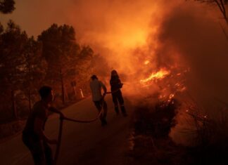 1.610.080 στρέμματα στάχτες, μηδέν ευθύνες