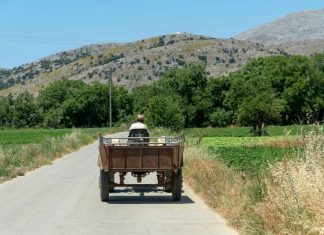 Κόβοντας τις ρίζες του κακού