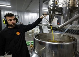 Ελαιόλαδο: Κάτω από τα 5 ευρώ η τιμή παραγωγού, έως 10 ευρώ στο ράφι