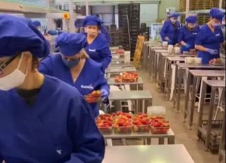 Ισπανικός Κολοσσός εξαγόρασε την ελληνική εταιρεία Kyriazis Strawberries