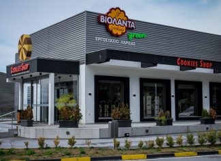 Τα μεγέθη της Βιολάντα πριν την καταστροφή