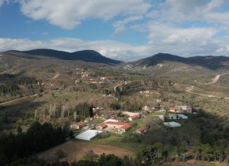 Oι επενδυτές που θέλουν να γίνουν… βασιλιάδες στο Τατόι – Ισχυρά επιχειρηματικά ονόματα στις 5 προσφορές