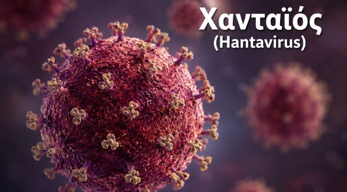 Καινούργια δεδομένα για τον χανταϊό: Τα φάρμακα, η επώαση και ο φόβος μιας παγκόσμιας πανδημίας