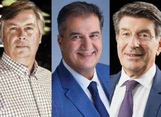 Η ρουμανική περιπέτεια των Βακάκη, Φουρλή και Φέσσα