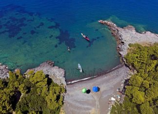 Πεύκα, βράχια και χρυσαφένια άμμος… Μια από τις πιο ξεχωριστές ακτές της Ανατολικής Εύβοιας
