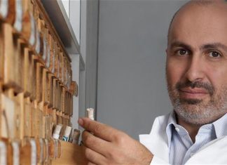 Αλλάζει εκ νέου χέρια η Κορρές, η επιστροφή της οικογένειας